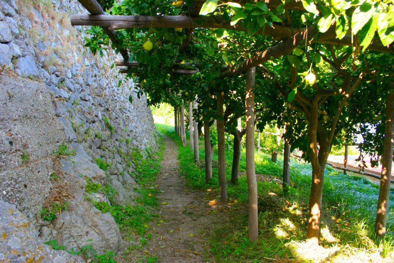 Villa The Guardian Of Amalfi Exterior foto